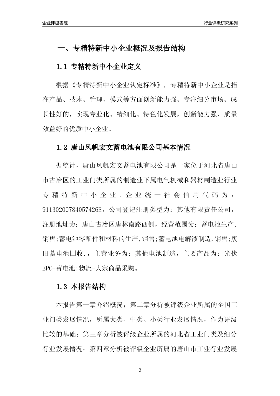 [专精特新]唐山风帆宏文蓄电池有限公司行业竞争力评级分析报告(2023版)_第3页