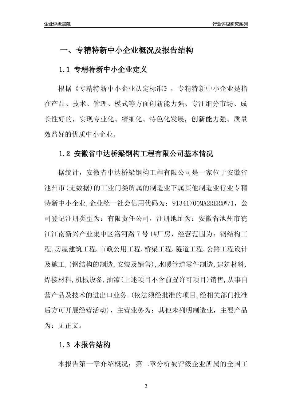 [专精特新]安徽省中达桥梁钢构工程有限公司行业竞争力评级分析报告(2023版)_第3页