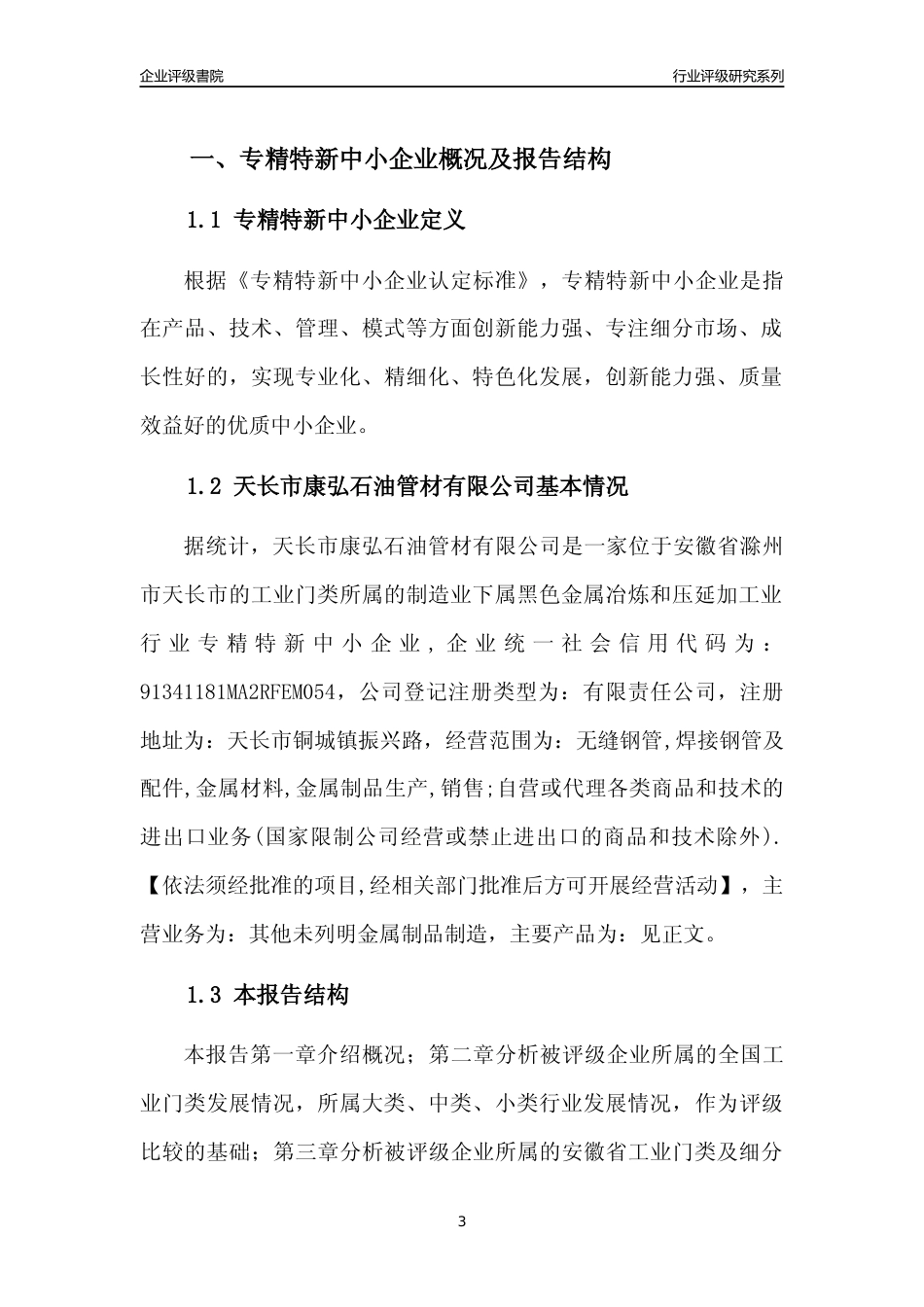 [专精特新]天长市康弘石油管材有限公司行业竞争力评级分析报告(2023版)_第3页