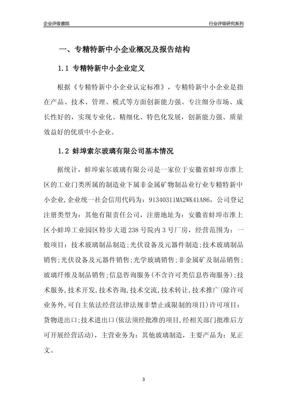 [专精特新]蚌埠索尔玻璃有限公司行业竞争力评级分析报告(2023版)_第3页