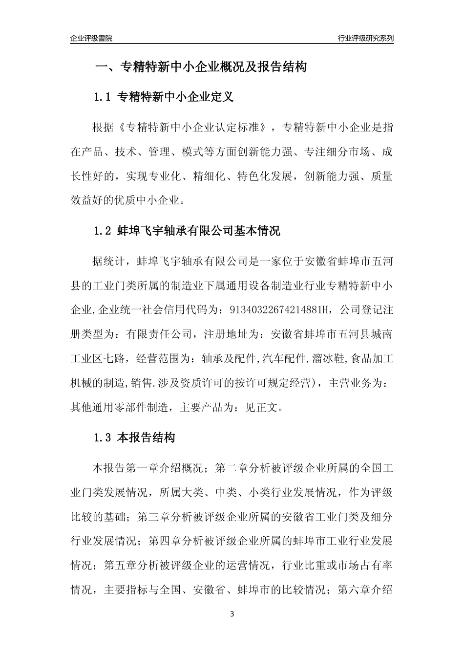 [专精特新]蚌埠飞宇轴承有限公司行业竞争力评级分析报告(2023版)_第3页