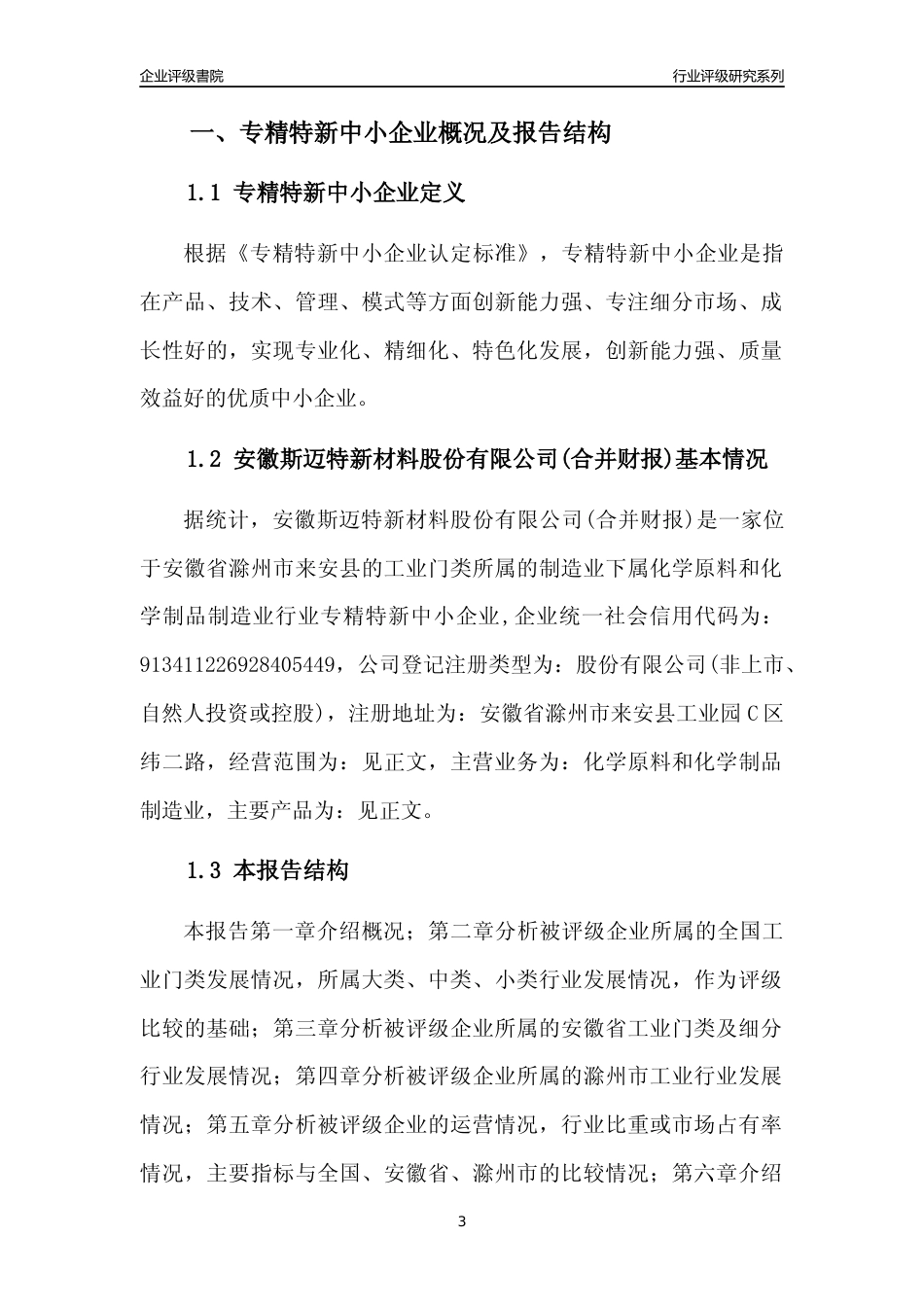 [专精特新]安徽斯迈特新材料股份有限公司(合并财报)行业竞争力评级分析报告(2023版)_第3页