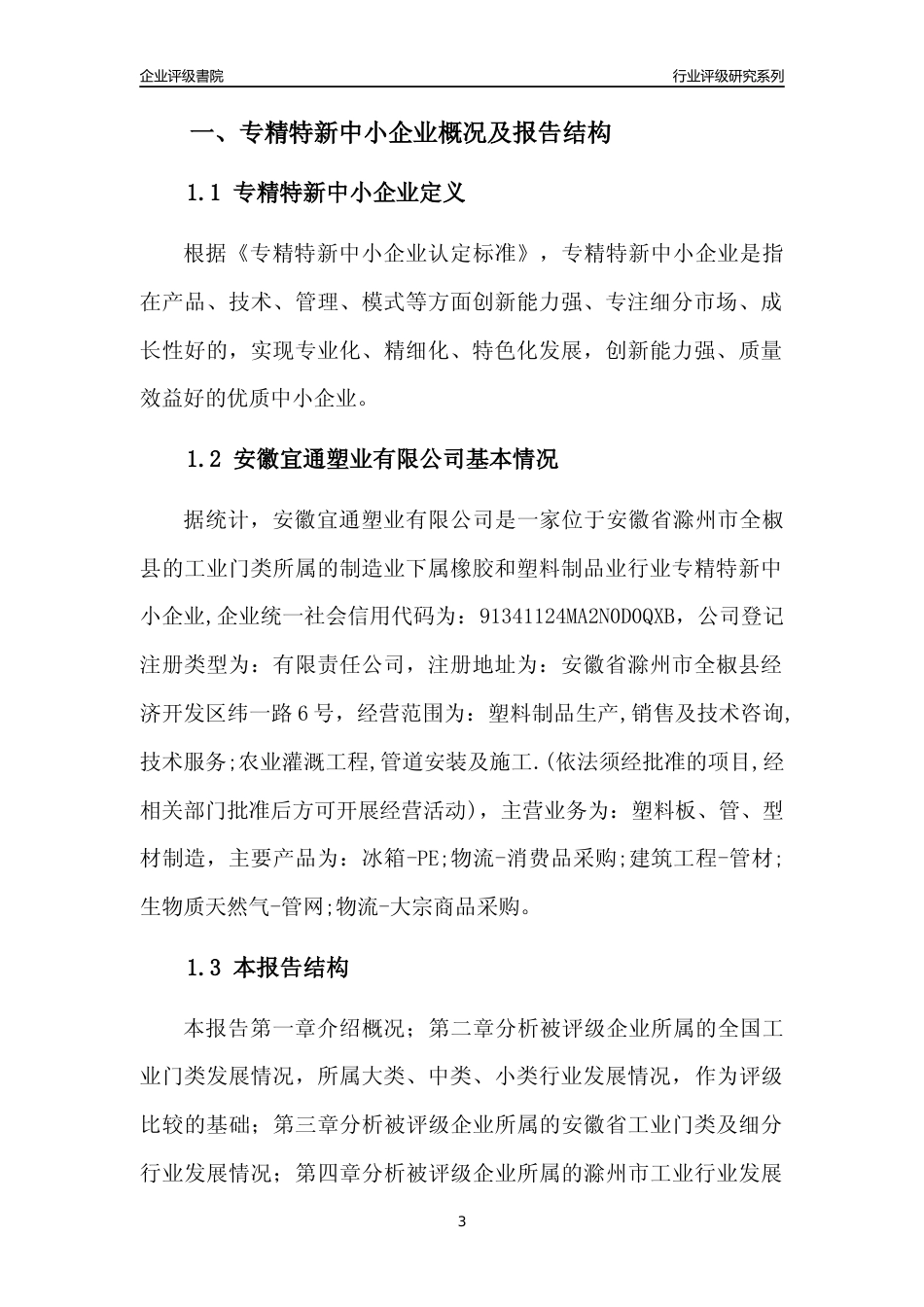 [专精特新]安徽宜通塑业有限公司行业竞争力评级分析报告(2023版)_第3页