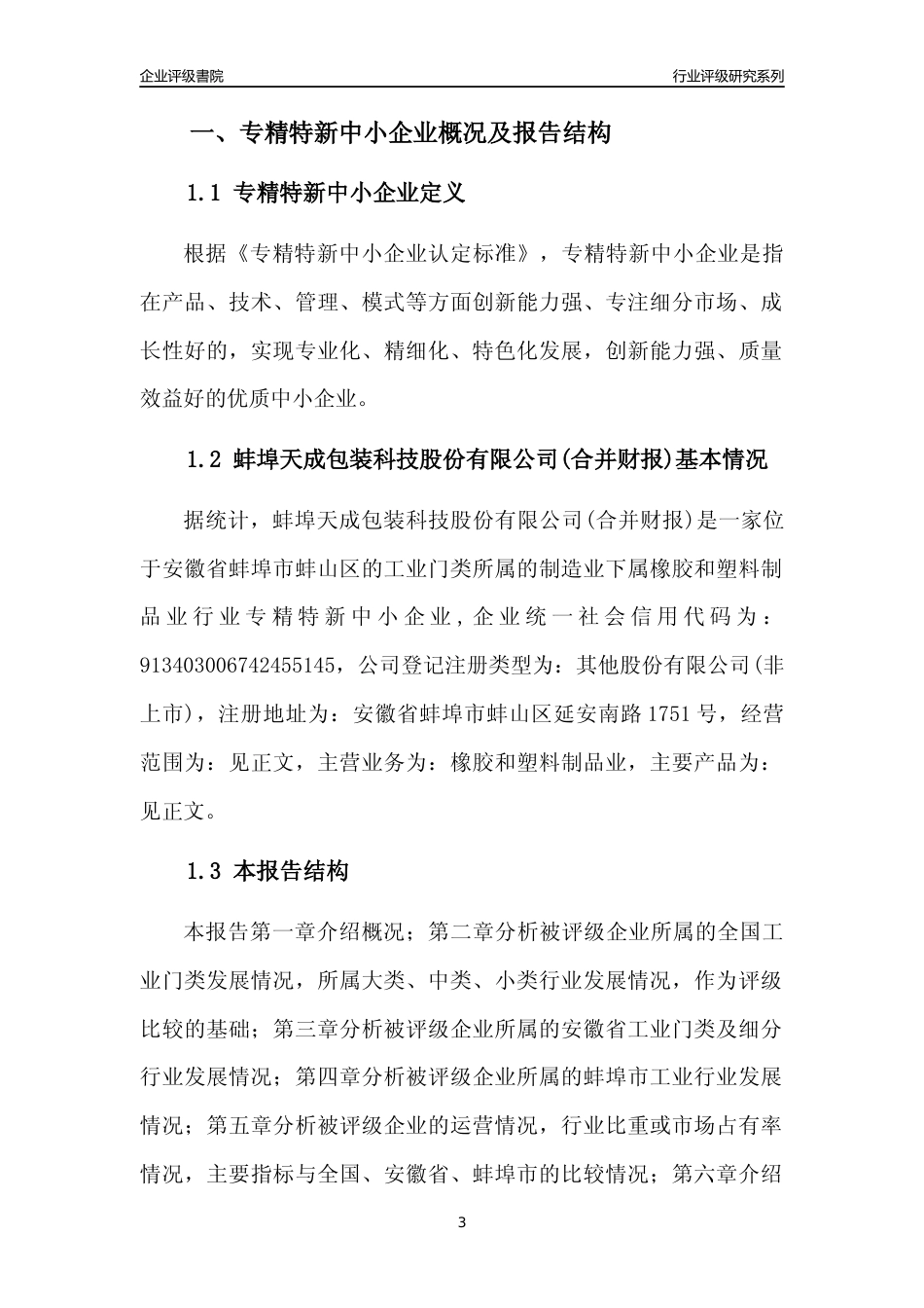 [专精特新]蚌埠天成包装科技股份有限公司(合并财报)行业竞争力评级分析报告(2023版)_第3页