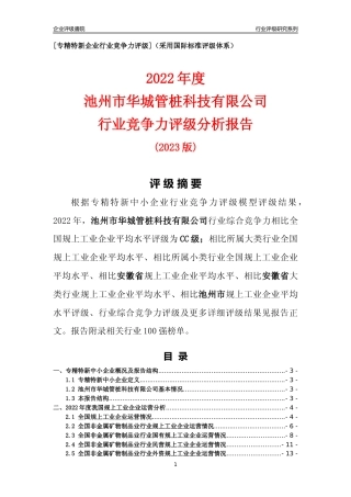 [专精特新]池州市华城管桩科技有限公司行业竞争力评级分析报告(2023版)