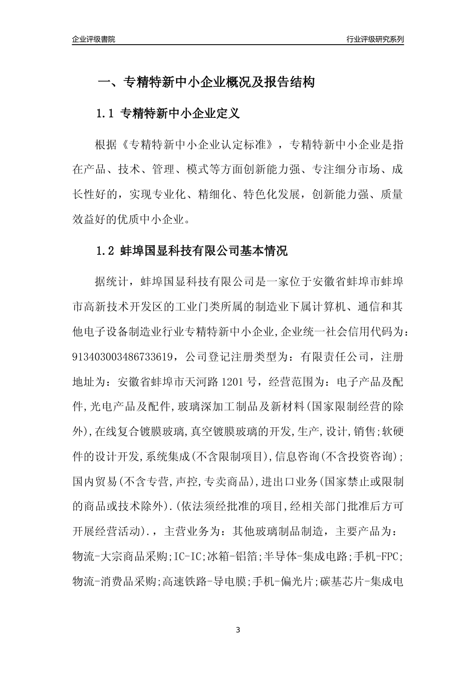 [专精特新]蚌埠国显科技有限公司行业竞争力评级分析报告(2023版)_第3页