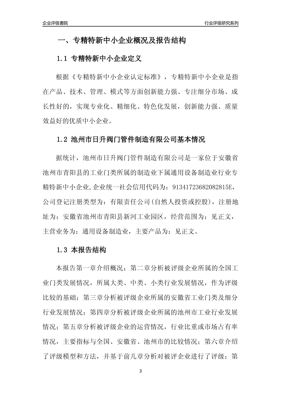 [专精特新]池州市日升阀门管件制造有限公司行业竞争力评级分析报告(2023版)_第3页