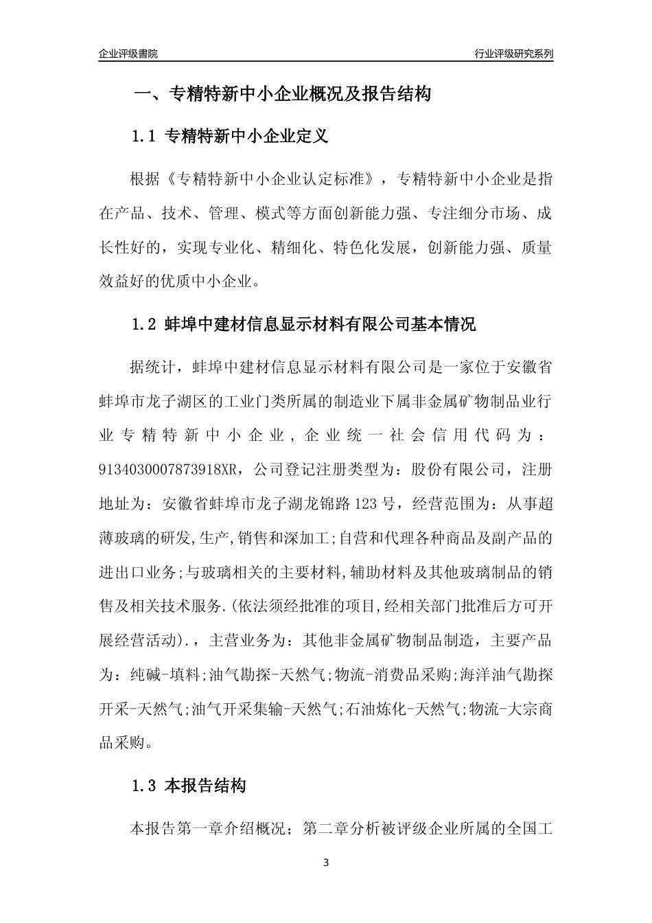 [专精特新]蚌埠中建材信息显示材料有限公司行业竞争力评级分析报告(2023版)_第3页