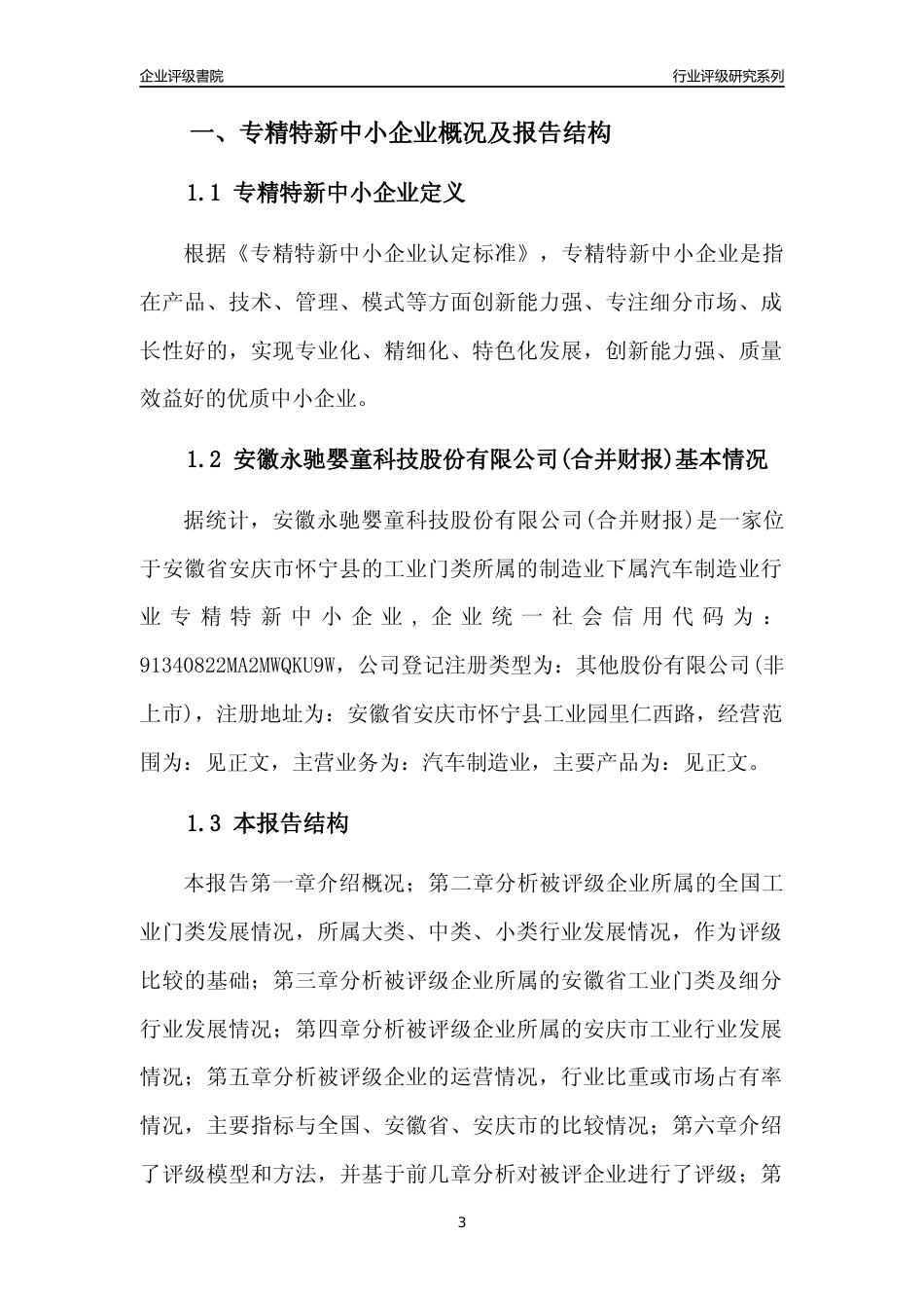 [专精特新]安徽永驰婴童科技股份有限公司(合并财报)行业竞争力评级分析报告(2023版)_第3页