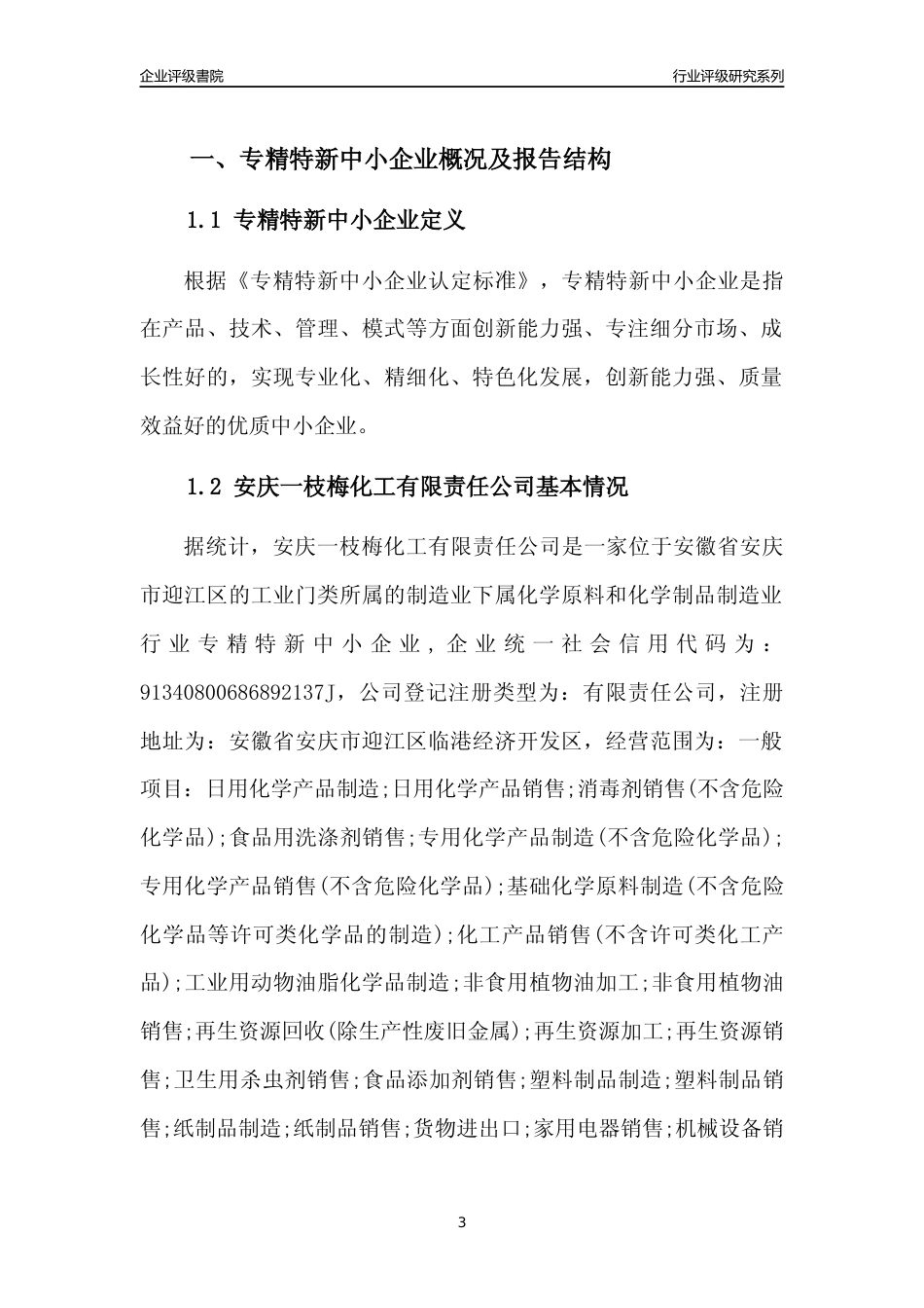 [专精特新]安庆一枝梅化工有限责任公司行业竞争力评级分析报告(2023版)_第3页