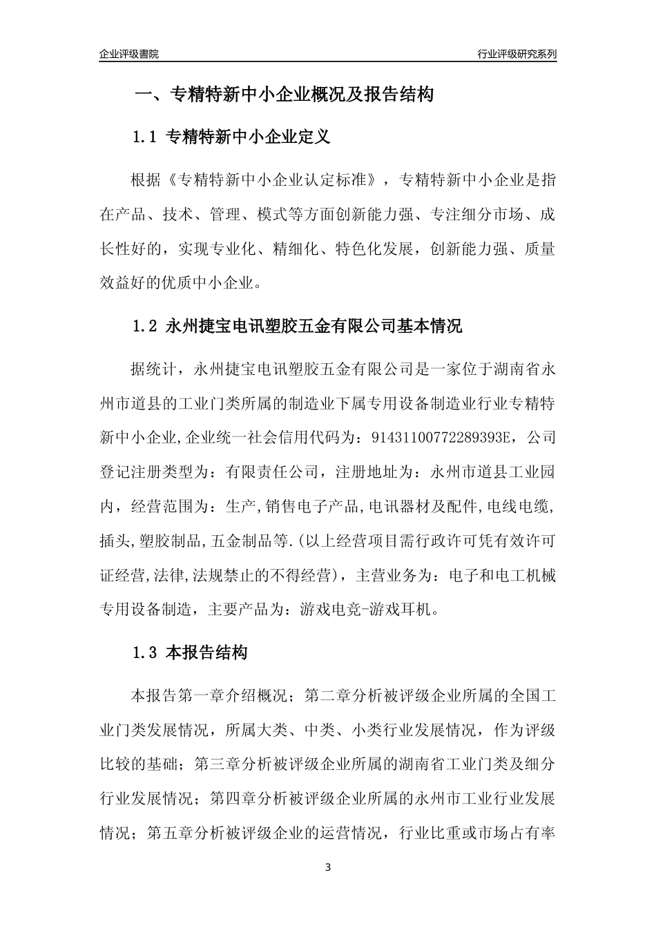 [专精特新]永州捷宝电讯塑胶五金有限公司行业竞争力评级分析报告(2023版)_第3页