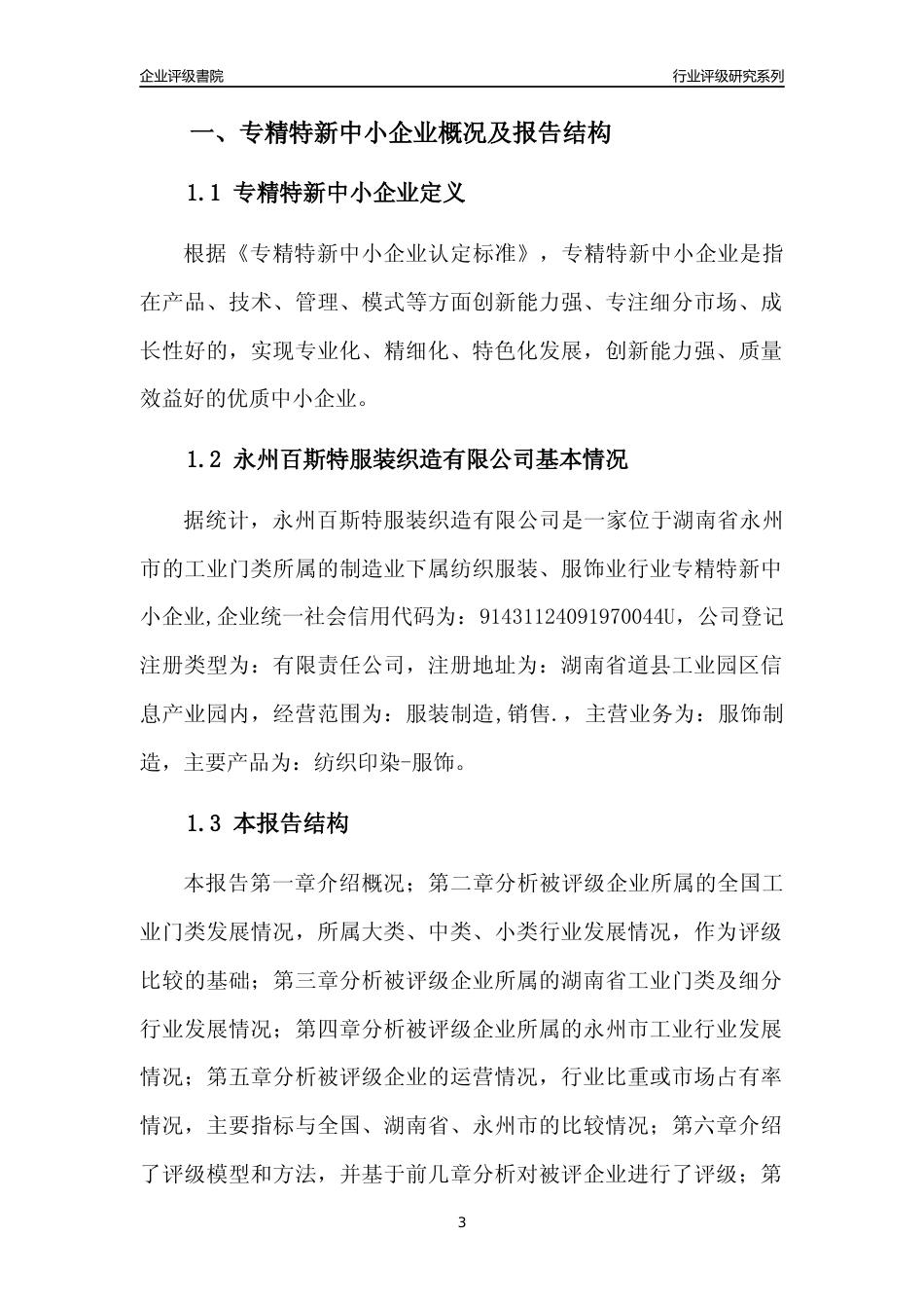 [专精特新]永州百斯特服装织造有限公司行业竞争力评级分析报告(2023版)_第3页