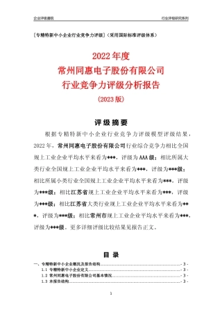 [专精特新]常州同惠电子股份有限公司行业竞争力评级分析报告(2023版)