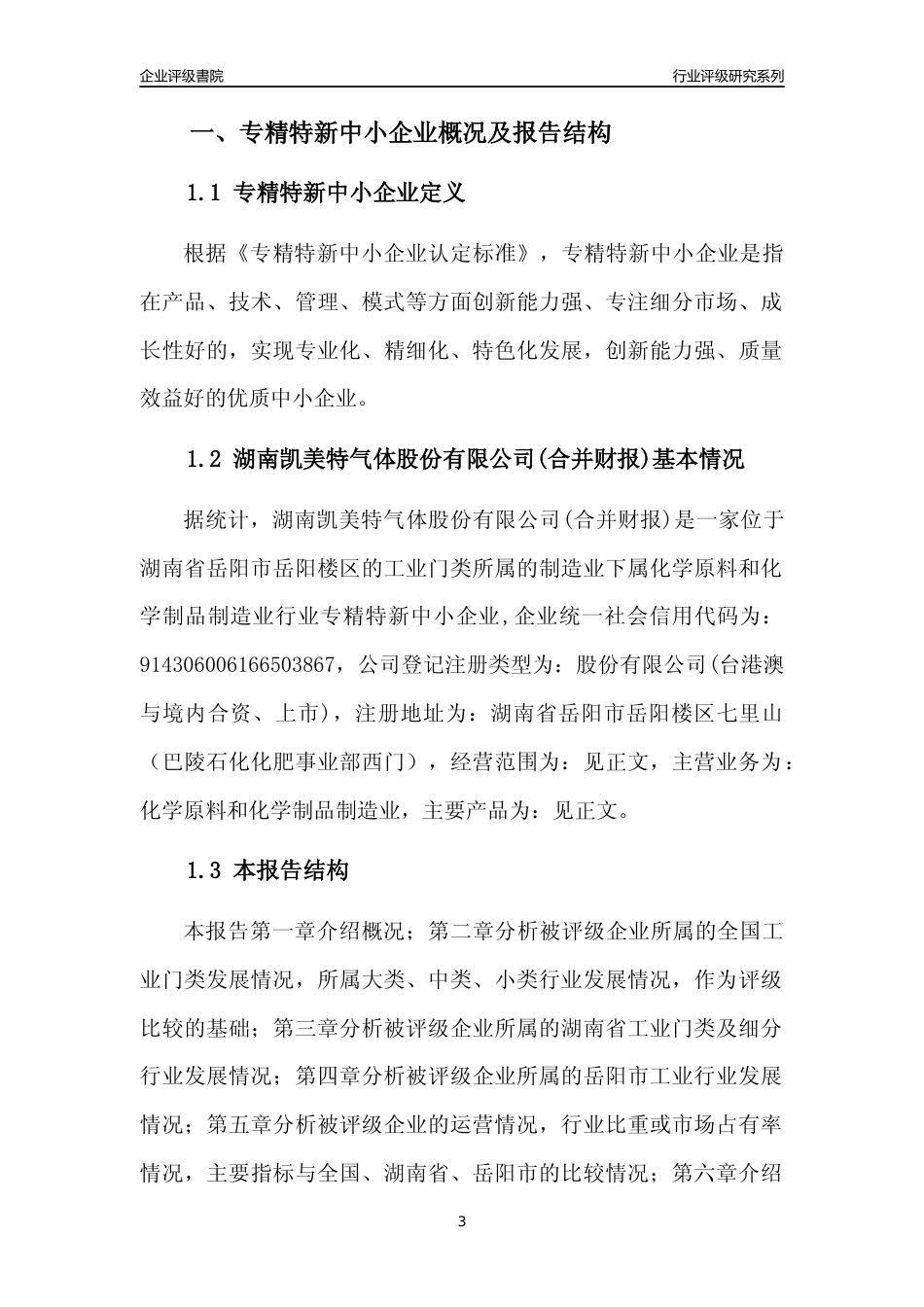 [专精特新]湖南凯美特气体股份有限公司(合并财报)行业竞争力评级分析报告(2023版)_第3页
