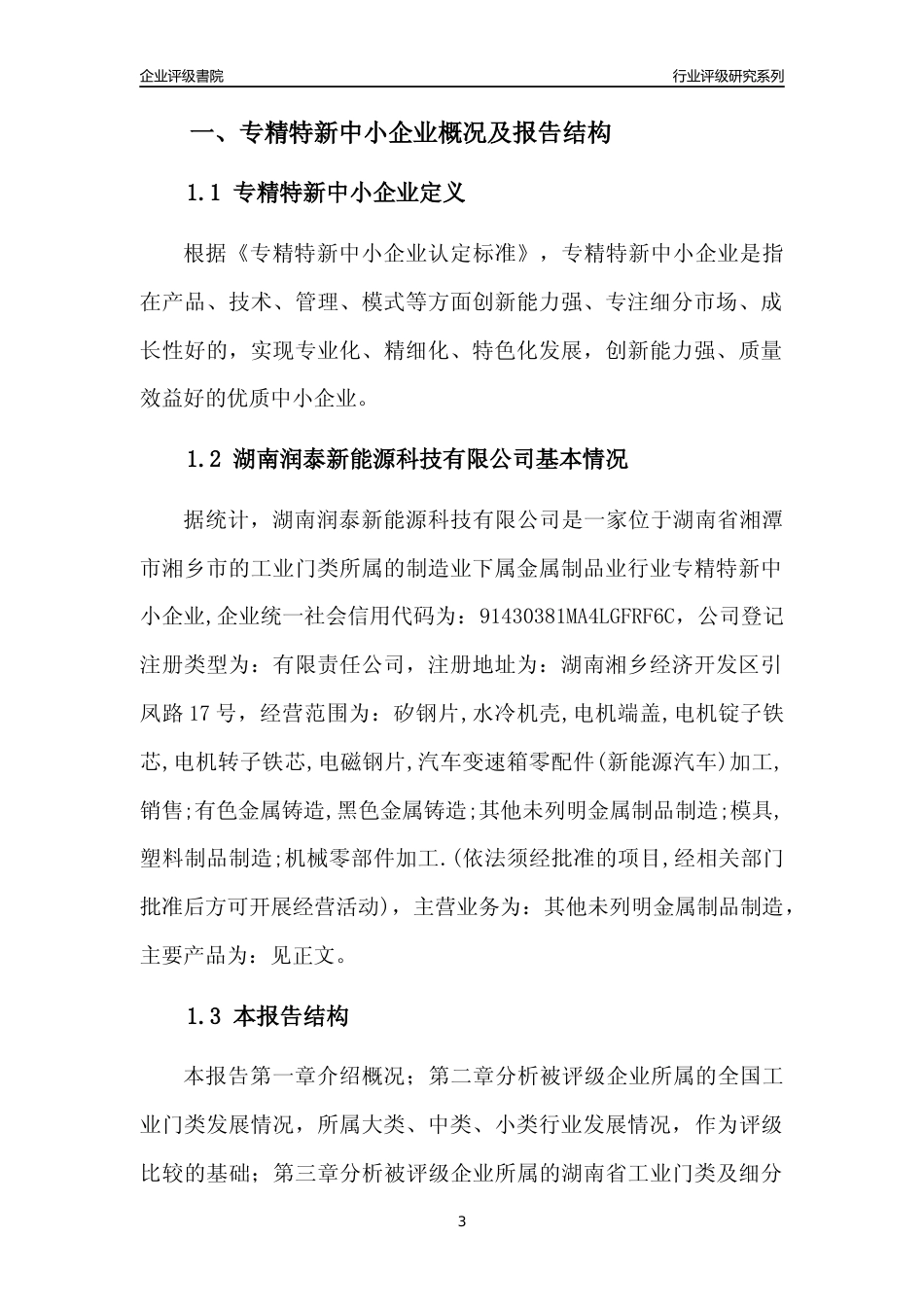[专精特新]湖南润泰新能源科技有限公司行业竞争力评级分析报告(2023版)_第3页