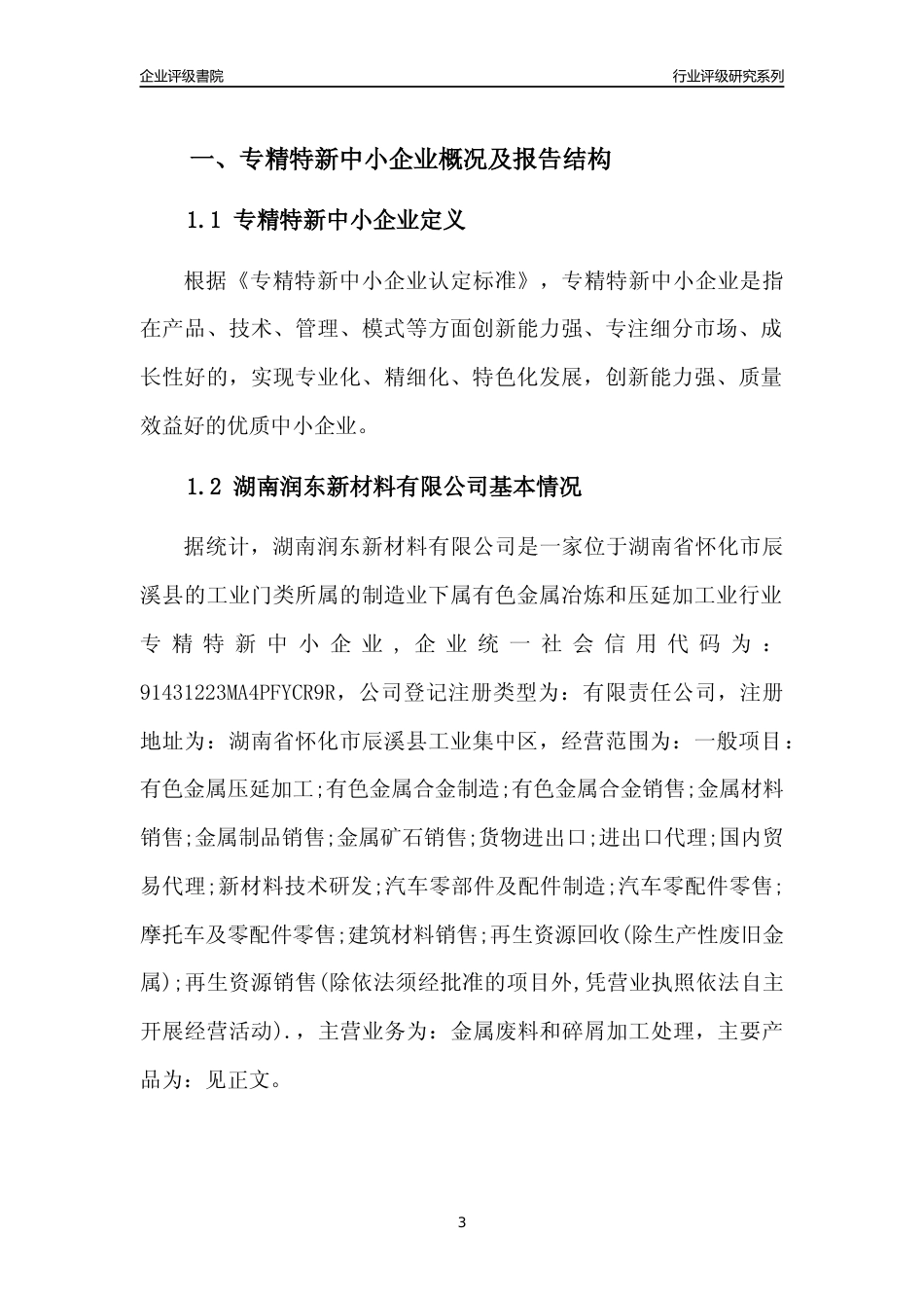 [专精特新]湖南润东新材料有限公司行业竞争力评级分析报告(2023版)_第3页