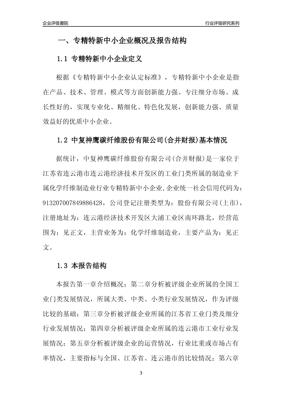 [专精特新]中复神鹰碳纤维股份有限公司(合并财报)行业竞争力评级分析报告(2023版)_第3页