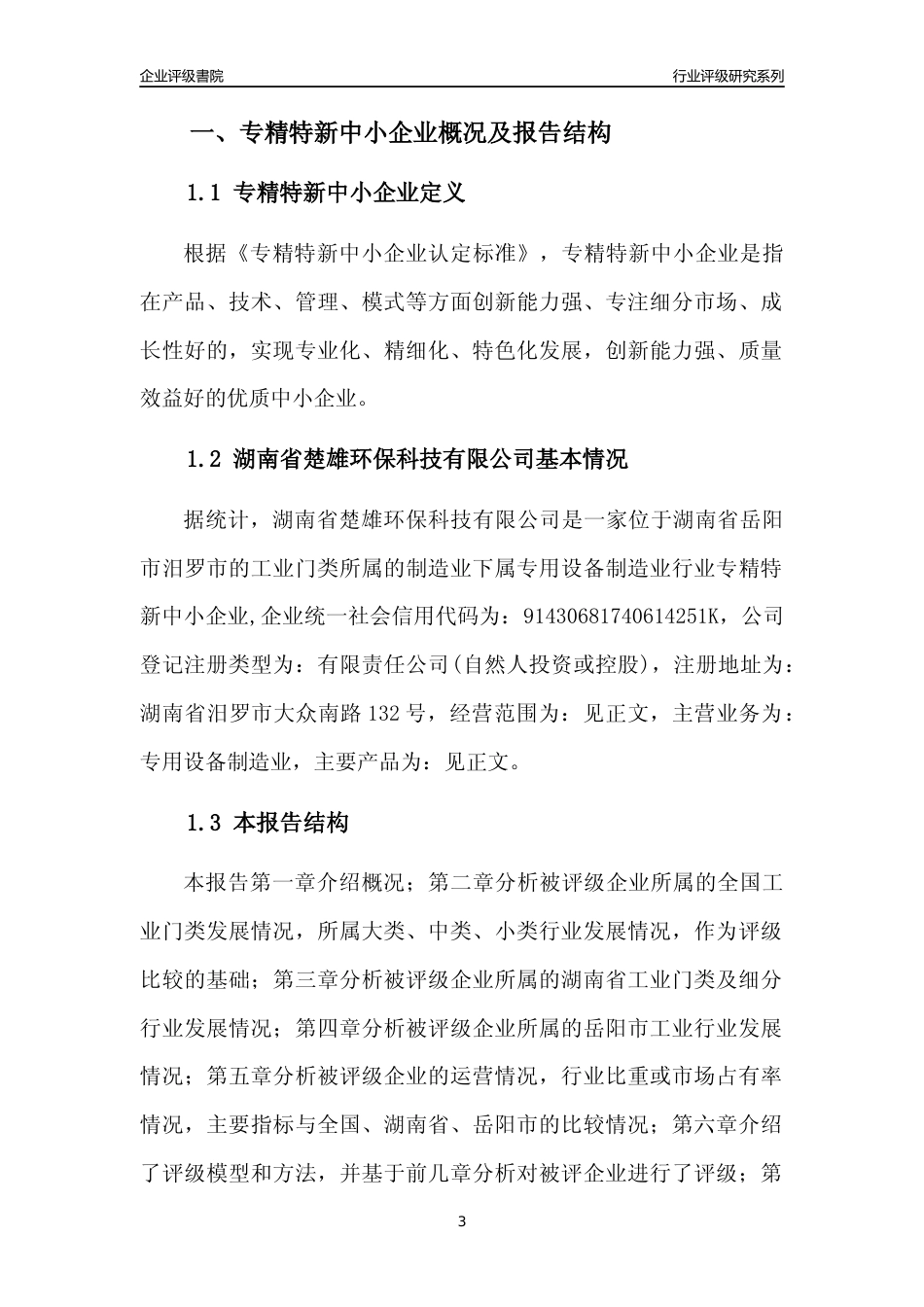 [专精特新]湖南省楚雄环保科技有限公司行业竞争力评级分析报告(2023版)_第3页