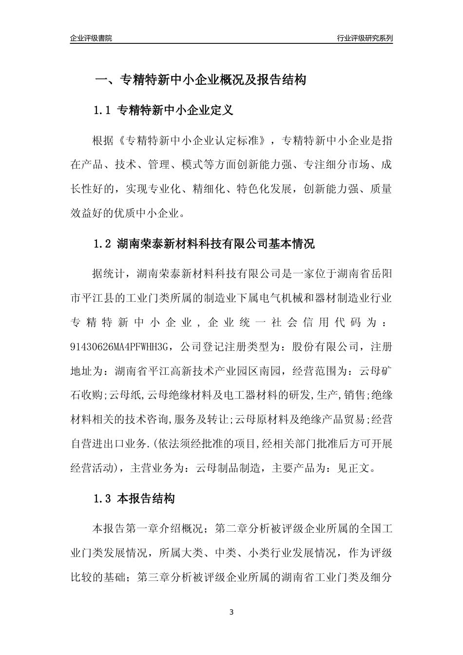 [专精特新]湖南荣泰新材料科技有限公司行业竞争力评级分析报告(2023版)_第3页