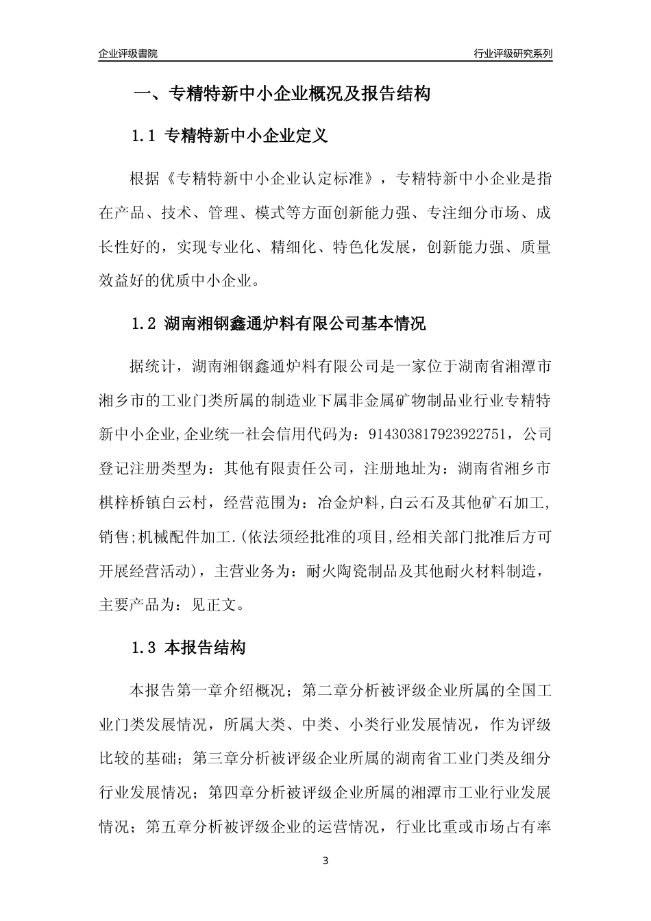 [专精特新]湖南湘钢鑫通炉料有限公司行业竞争力评级分析报告(2023版)_第3页