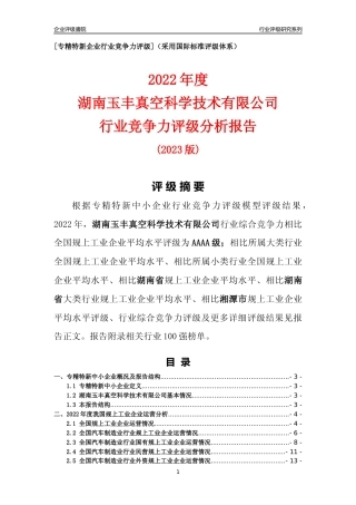 [专精特新]湖南玉丰真空科学技术有限公司行业竞争力评级分析报告(2023版)