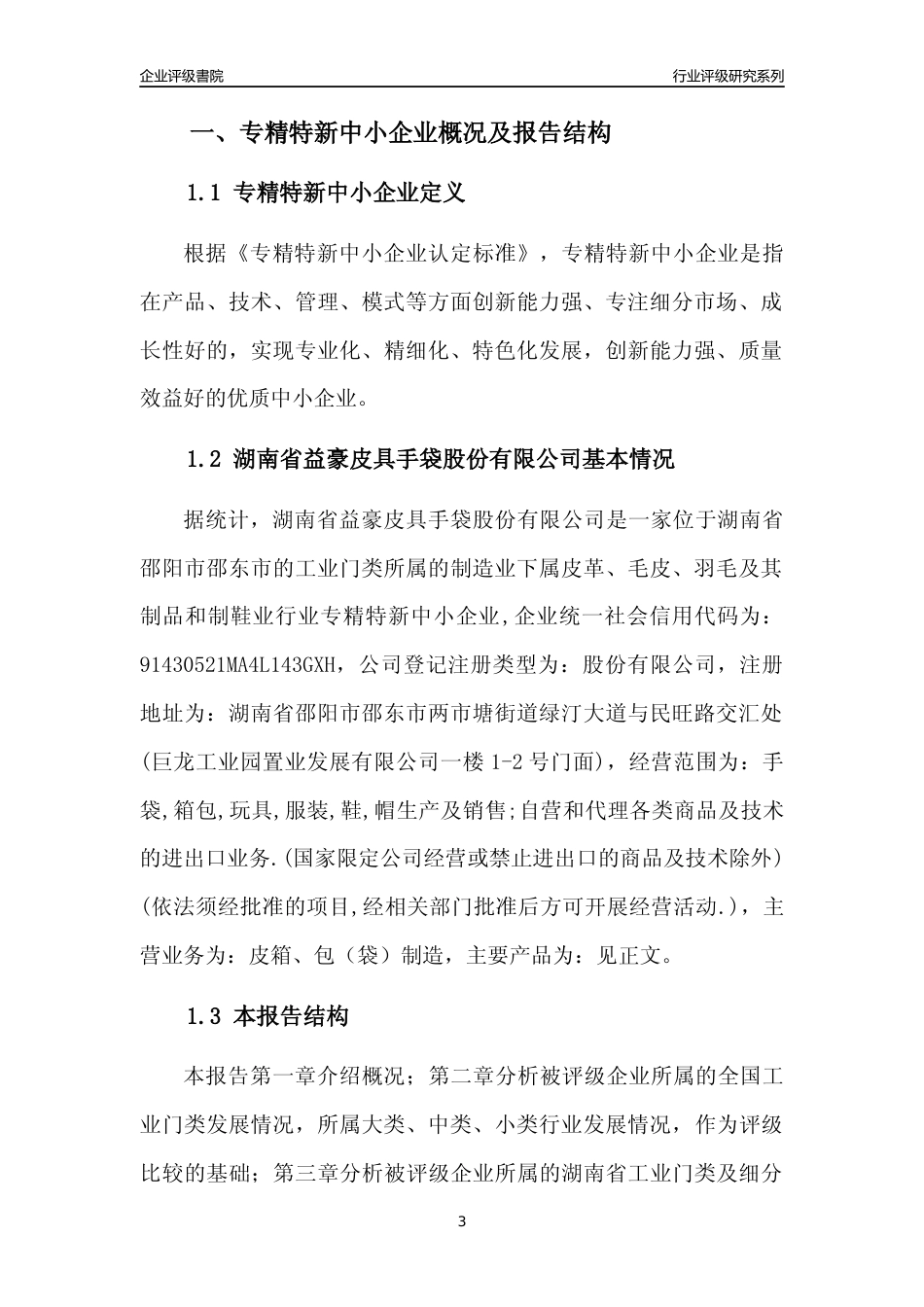 [专精特新]湖南省益豪皮具手袋股份有限公司行业竞争力评级分析报告(2023版)_第3页