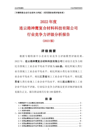 [专精特新]连云港神鹰复合材料科技有限公司行业竞争力评级分析报告(2023版)