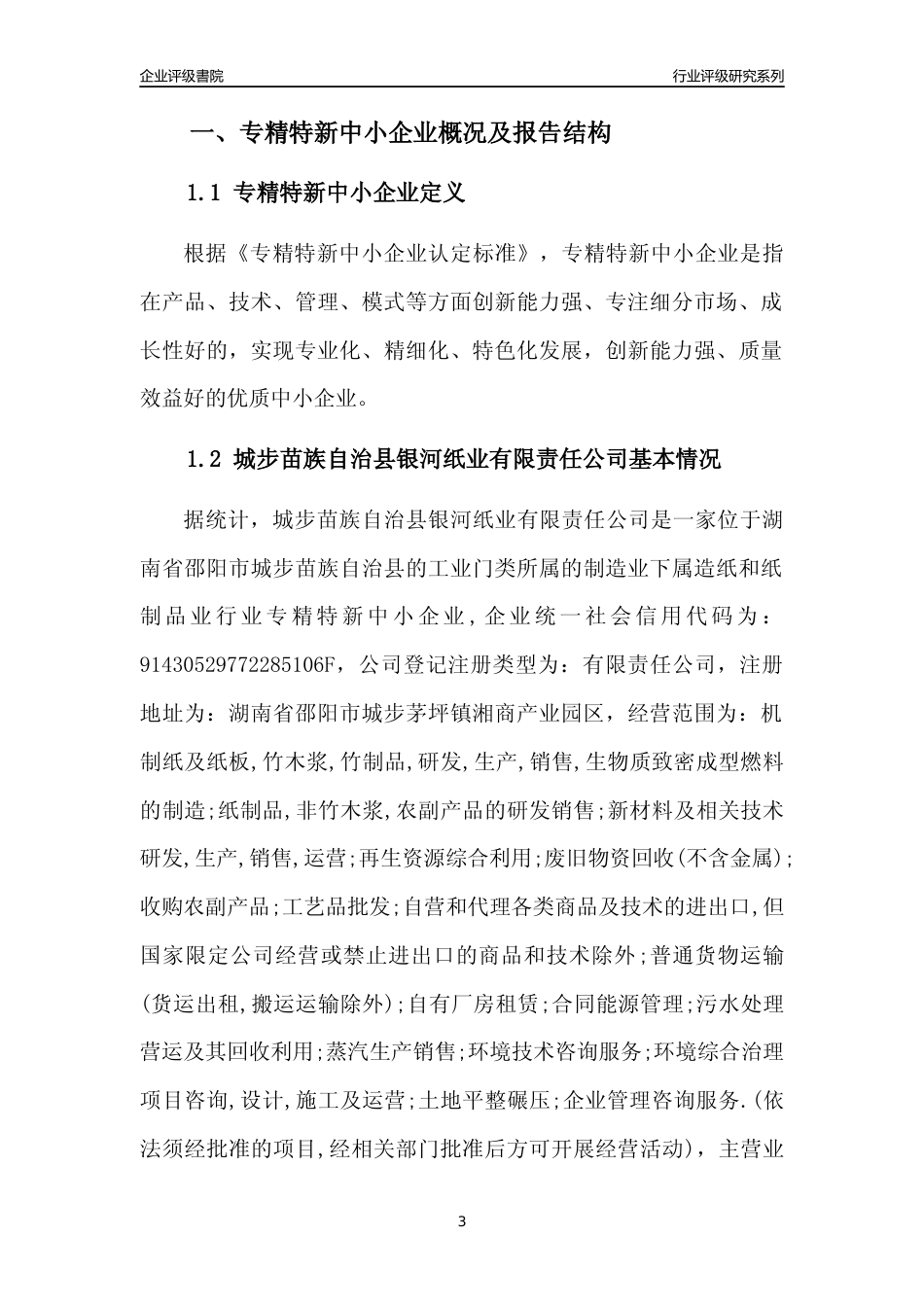 [专精特新]城步苗族自治县银河纸业有限责任公司行业竞争力评级分析报告(2023版)_第3页