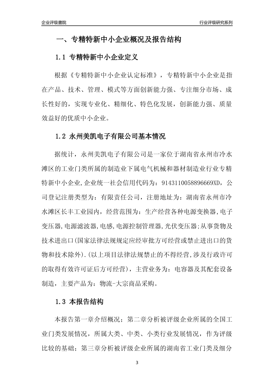 [专精特新]永州美凯电子有限公司行业竞争力评级分析报告(2023版)_第3页