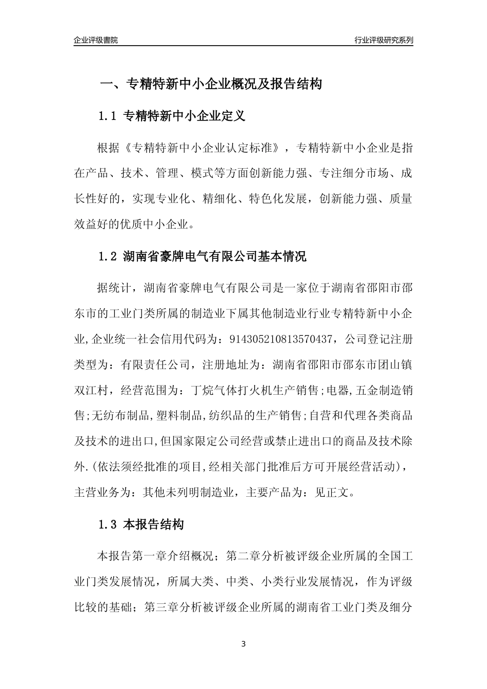 [专精特新]湖南省豪牌电气有限公司行业竞争力评级分析报告(2023版)_第3页