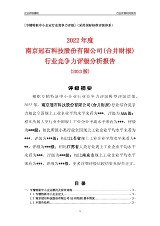 [专精特新]南京冠石科技股份有限公司(合并财报)行业竞争力评级分析报告(2023版)
