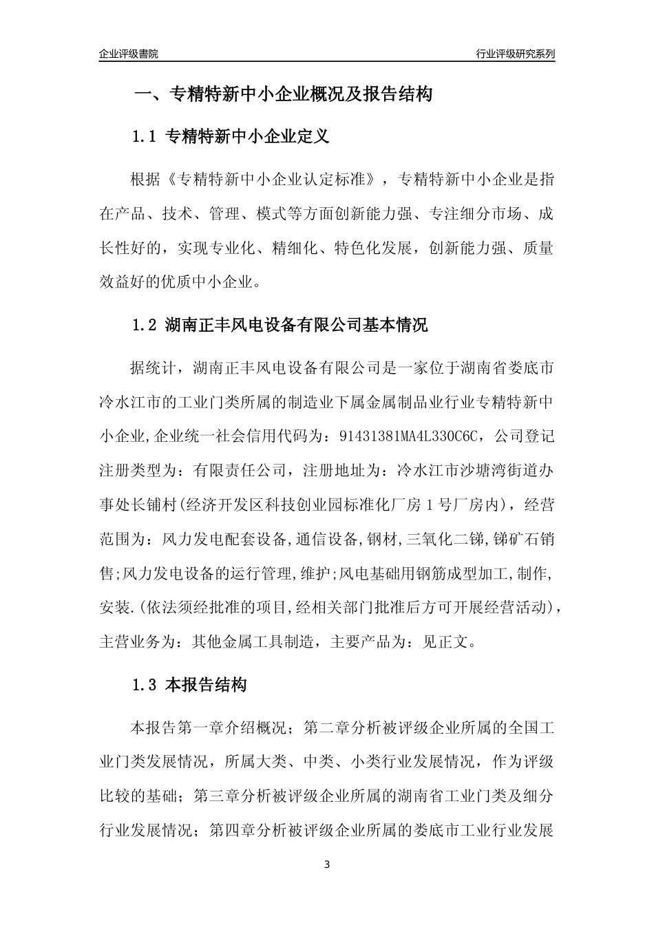 [专精特新]湖南正丰风电设备有限公司行业竞争力评级分析报告(2023版)_第3页