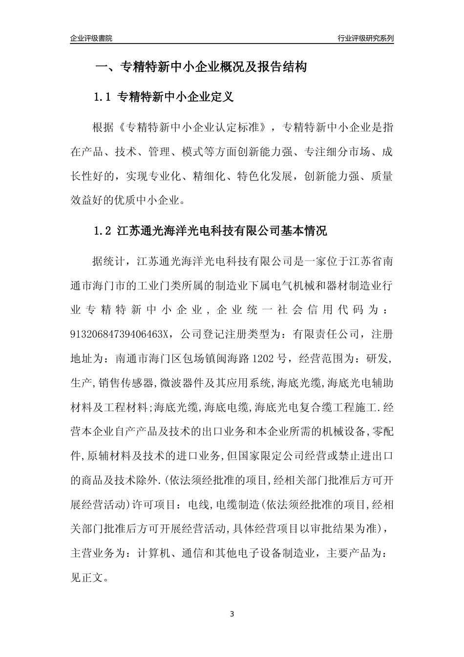 [专精特新]江苏通光海洋光电科技有限公司行业竞争力评级分析报告(2023版)_第3页