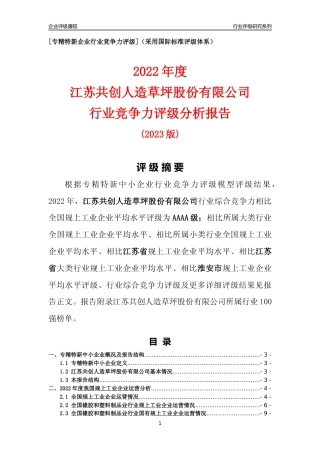 [专精特新]江苏共创人造草坪股份有限公司行业竞争力评级分析报告(2023版)