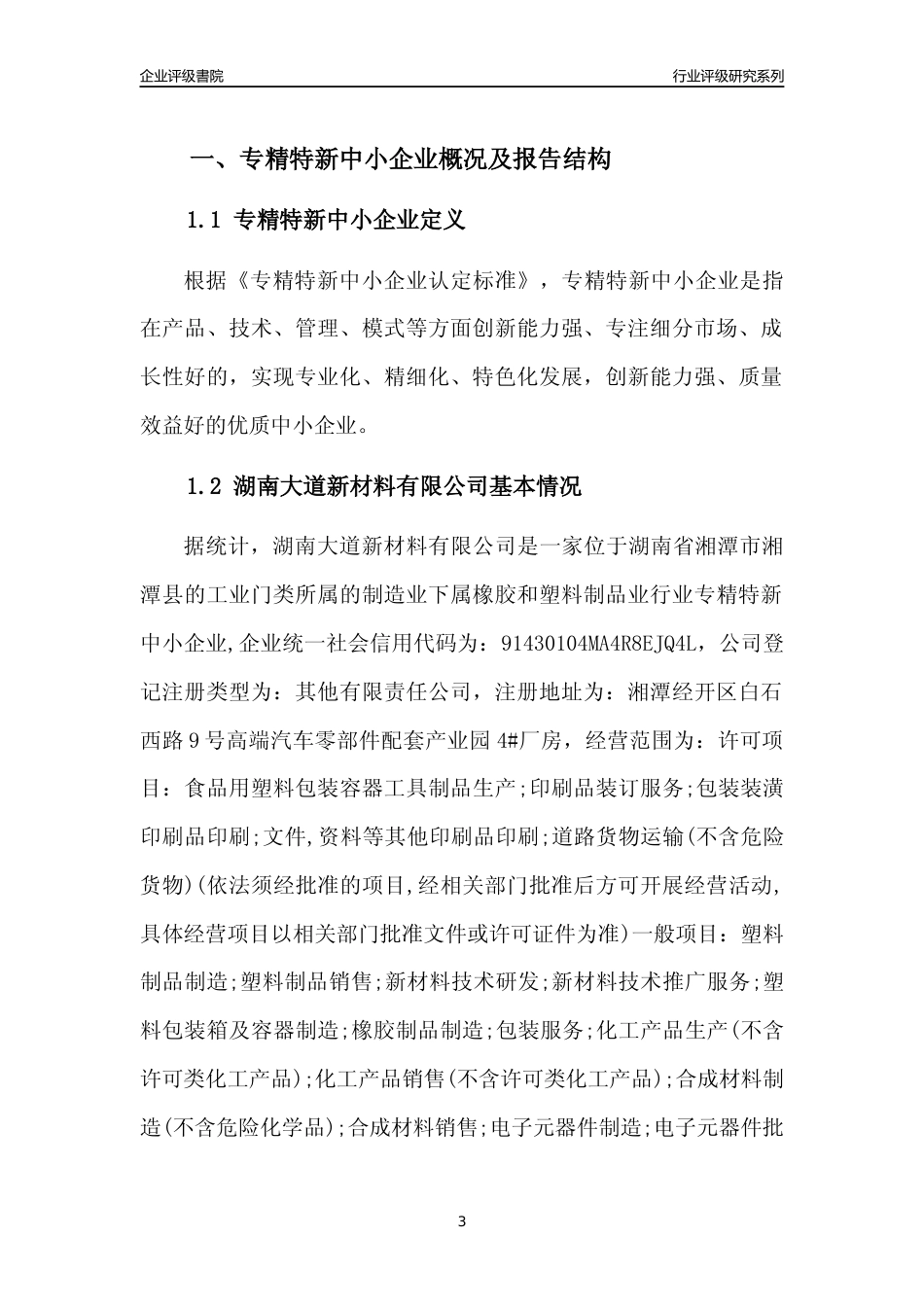 [专精特新]湖南大道新材料有限公司行业竞争力评级分析报告(2023版)_第3页