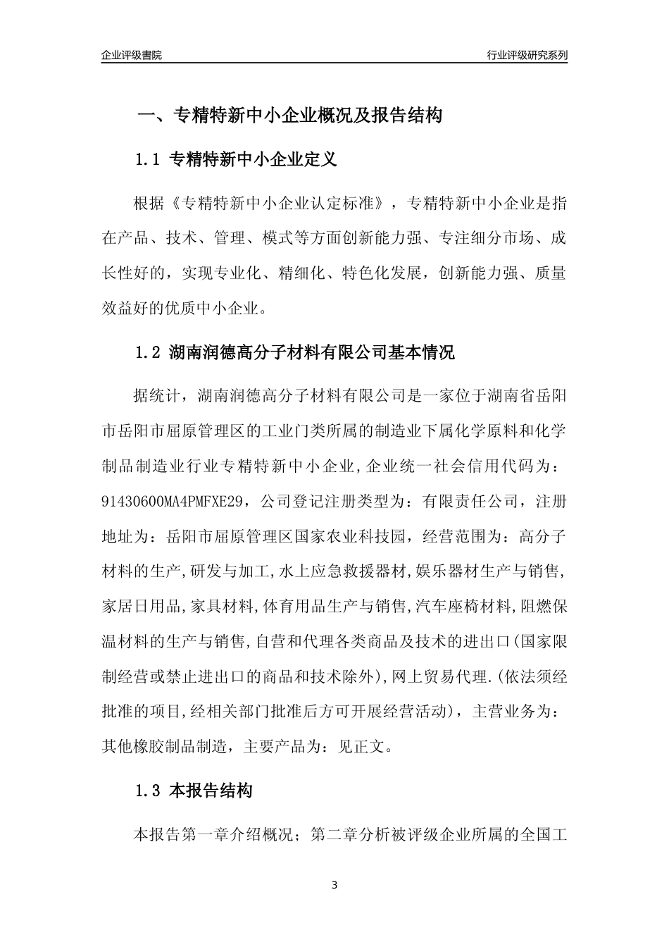 [专精特新]湖南润德高分子材料有限公司行业竞争力评级分析报告(2023版)_第3页