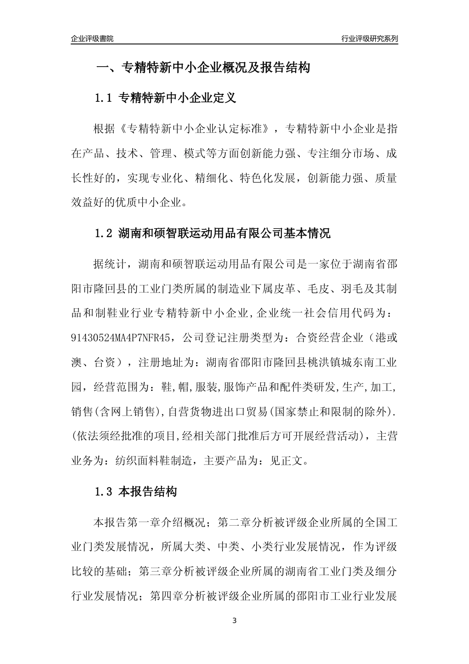 [专精特新]湖南和硕智联运动用品有限公司行业竞争力评级分析报告(2023版)_第3页