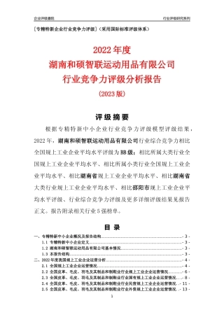 [专精特新]湖南和硕智联运动用品有限公司行业竞争力评级分析报告(2023版)