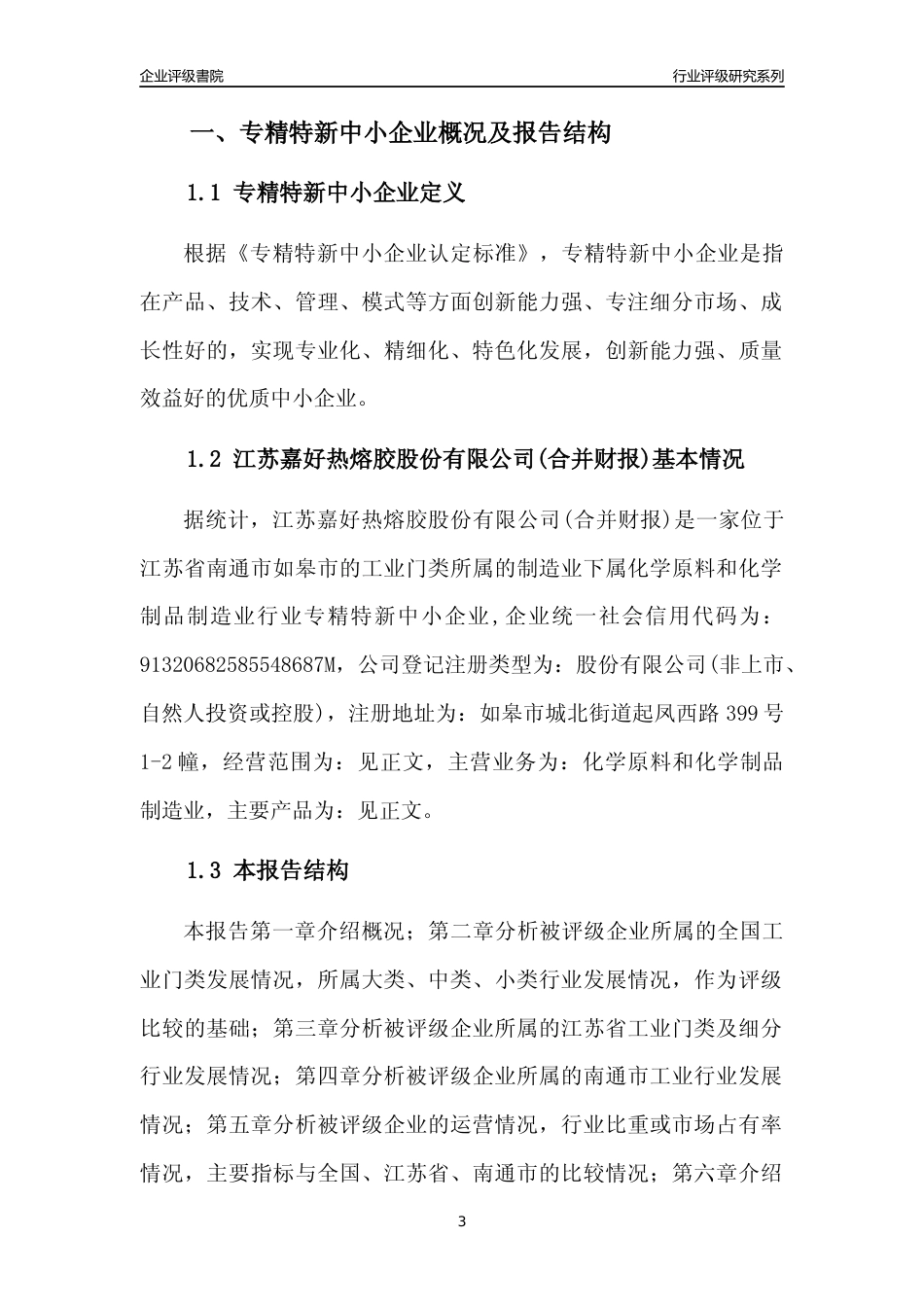 [专精特新]江苏嘉好热熔胶股份有限公司(合并财报)行业竞争力评级分析报告(2023版)_第3页