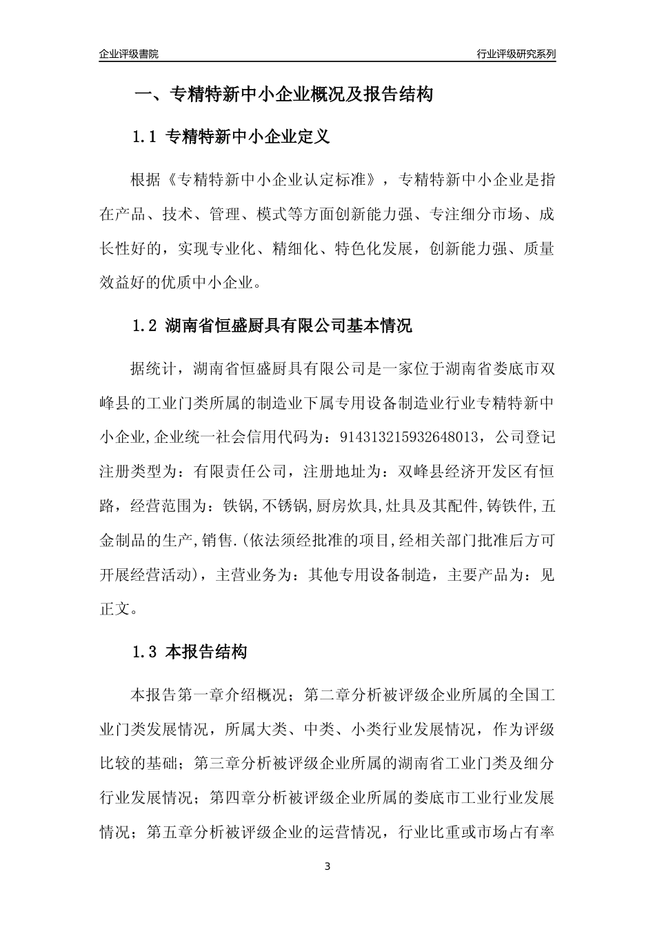 [专精特新]湖南省恒盛厨具有限公司行业竞争力评级分析报告(2023版)_第3页