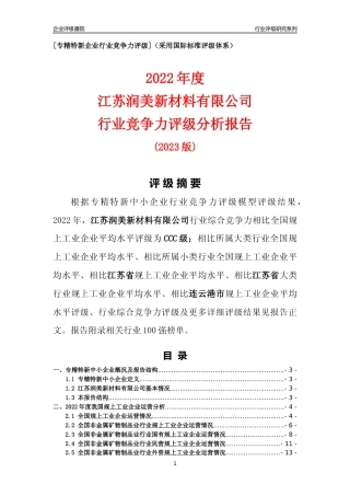 [专精特新]江苏润美新材料有限公司行业竞争力评级分析报告(2023版)