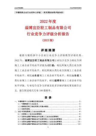 [专精特新]淄博宜臣轻工制品有限公司行业竞争力评级分析报告(2023版)