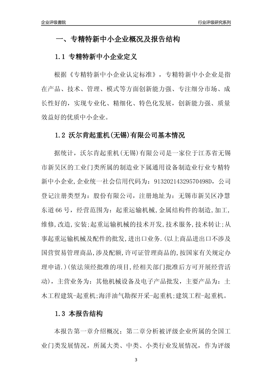 [专精特新]沃尔肯起重机(无锡)有限公司行业竞争力评级分析报告(2023版)_第3页