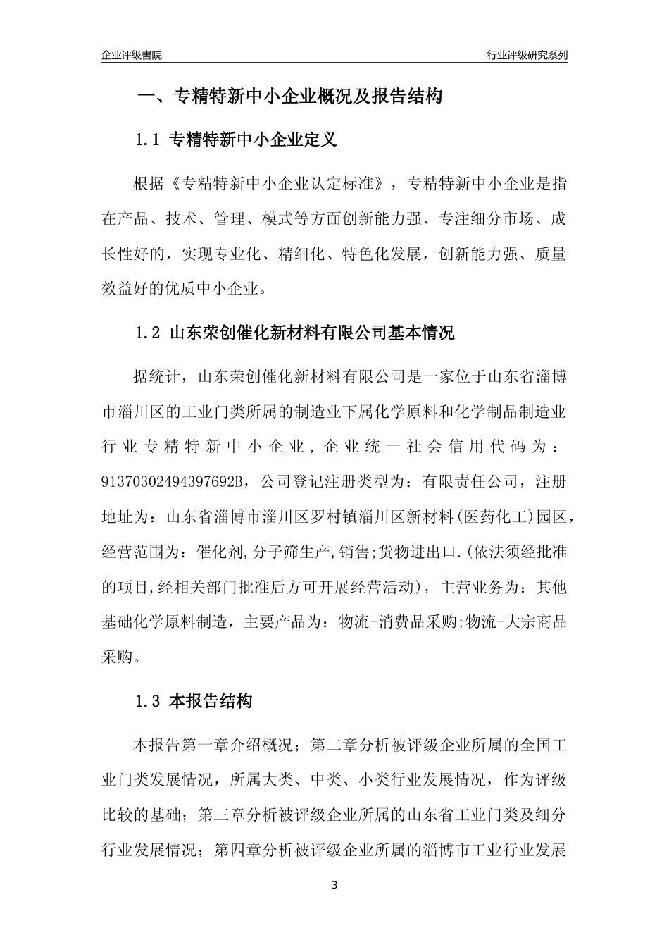[专精特新]山东荣创催化新材料有限公司行业竞争力评级分析报告(2023版)_第3页