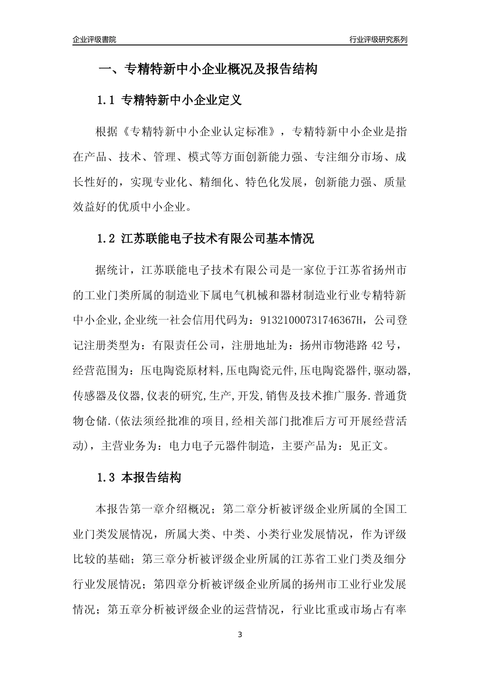 [专精特新]江苏联能电子技术有限公司行业竞争力评级分析报告(2023版)_第3页