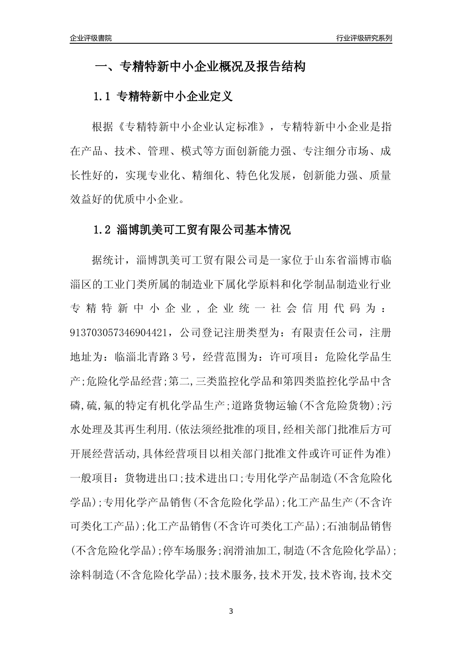 [专精特新]淄博凯美可工贸有限公司行业竞争力评级分析报告(2023版)_第3页