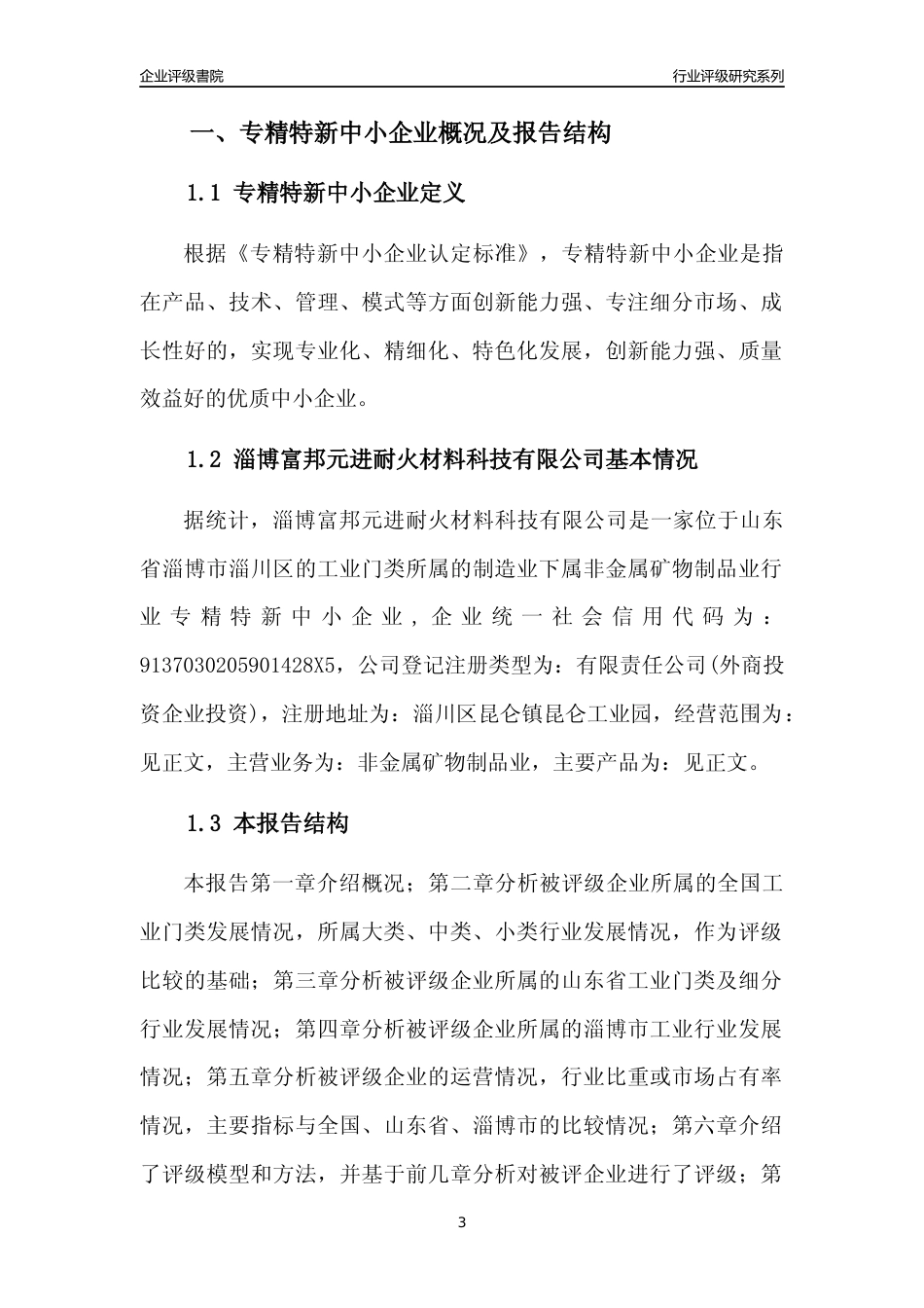 [专精特新]淄博富邦元进耐火材料科技有限公司行业竞争力评级分析报告(2023版)_第3页