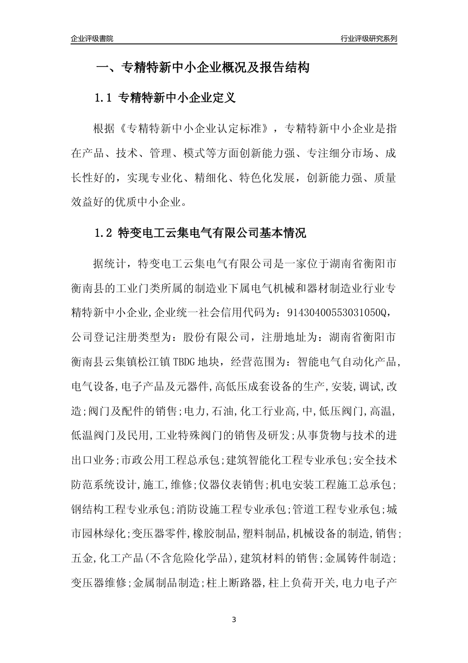 [专精特新]特变电工云集电气有限公司行业竞争力评级分析报告(2023版)_第3页