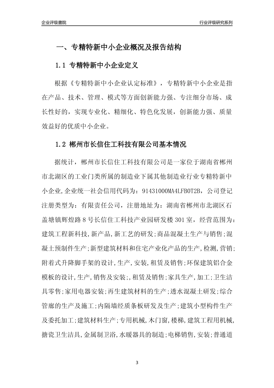 [专精特新]郴州市长信住工科技有限公司行业竞争力评级分析报告(2023版)_第3页