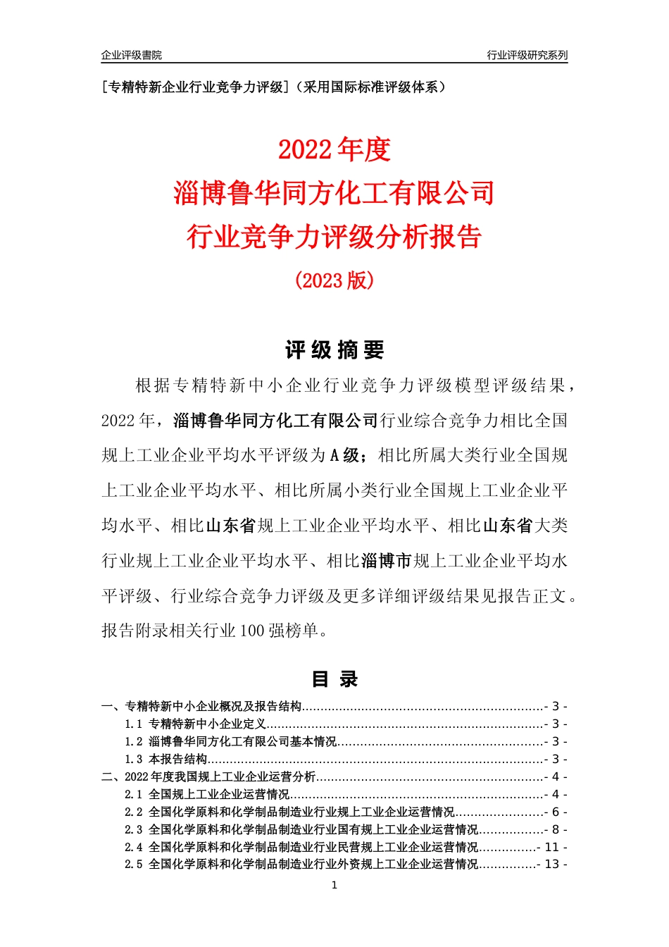 [专精特新]淄博鲁华同方化工有限公司行业竞争力评级分析报告(2023版)_第1页